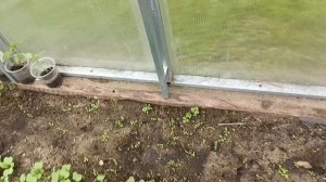 15-05-2025 работы на даче.