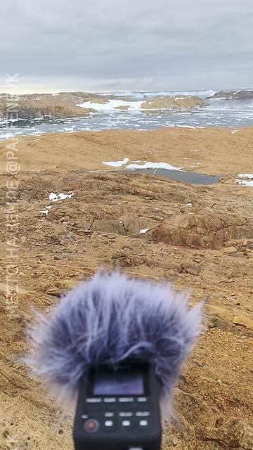 В этом ролике вы услышите настоящие звуки Антарктиды!