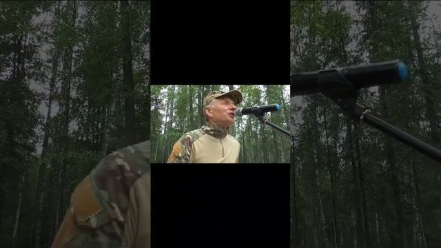 По полю