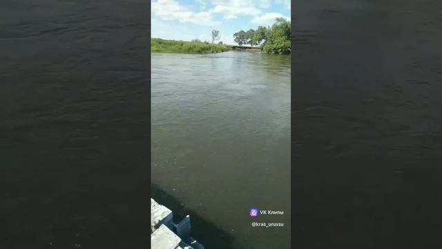 🎧Dan Balan & Вера Брежнева: "Лепестками слёз"🎙#ЮтазинскийРайон #Татарстан #summer #җәй #лето смотреть онлайн