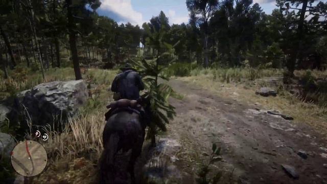 Red Dead Redemption 2 в 4K ➤ Прохождение #42