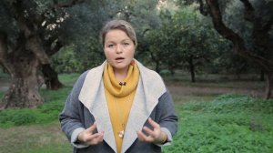 Чем полезно оливковое масло?  | 16+