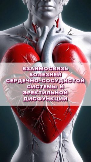 Взаимосвязь болезней сердечно-сосудистой системы и эректильной дисфункции