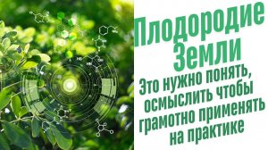 Углерод в питании растений.