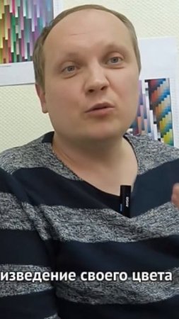 Дикие истории 3