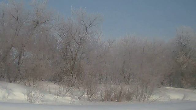 Зимняя красота. смотреть онлайн