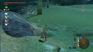 The Legend of Zelda: Breath of the Wild. Серия 110