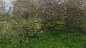 влог- посылка с сайта Тему, прогулка, новые духи. Рената Смирнова.2025