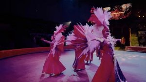 Империя львиц_для шапки сайта цирка 30 сек