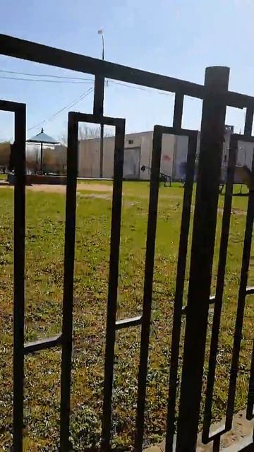 Как гуляют с собаками на детской площадке смотреть онлайн