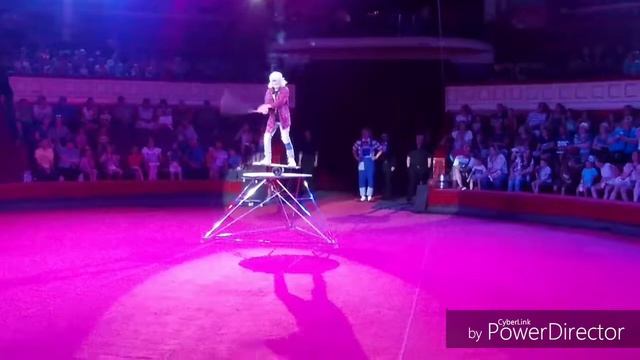 ПОДЖИГАЛИ ТИГРА В ЦИРКЕ? //💜 СУПЕР КЛАССНЫЙ ЦЫРК ВСЕ ВОСТОРГЕ__ MARGARITA'SSS LIVE 💜 смотреть онлайн