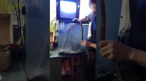 Лайфхак по чистке песка от грязи и ила в  морском аквар