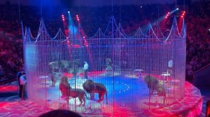 Московский Цирк, Шоу со львами🦁