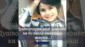 Диламро зери по карди//Бехтарин суруди точики 🌼🌱