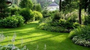 Я ТЕБЕ НИ ЧЕГО НЕ СКАЖУ