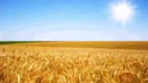 Село i люди- итс май лайф веселая и прикольная песня