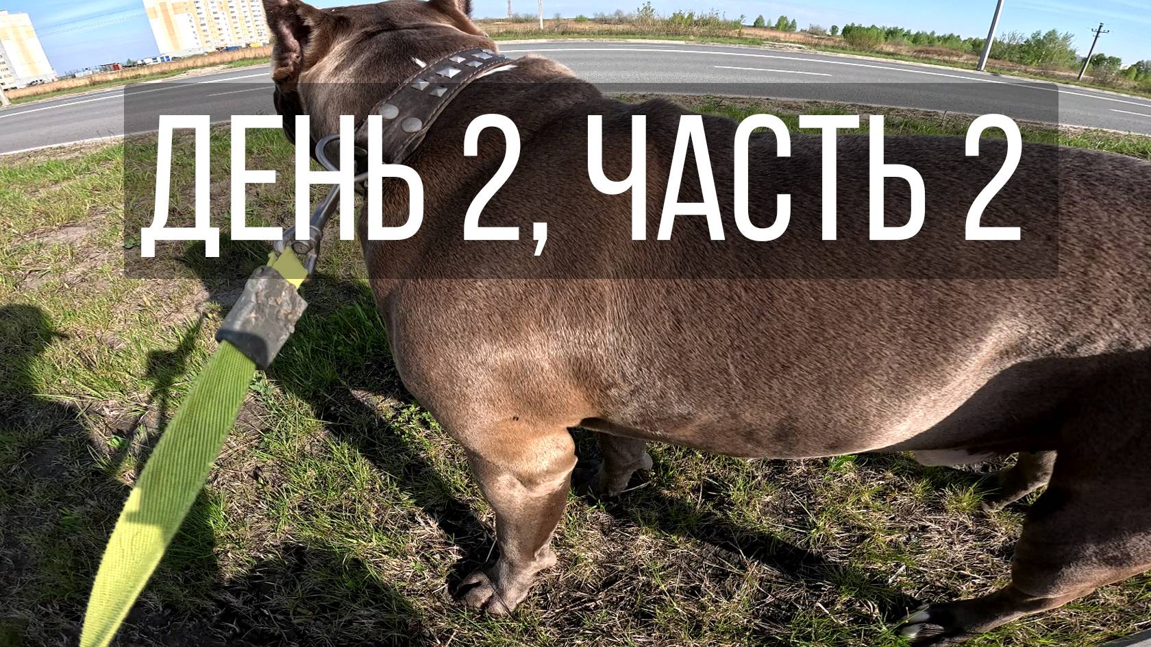 День 2, часть 2
