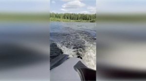 Лодочный мотор Brait