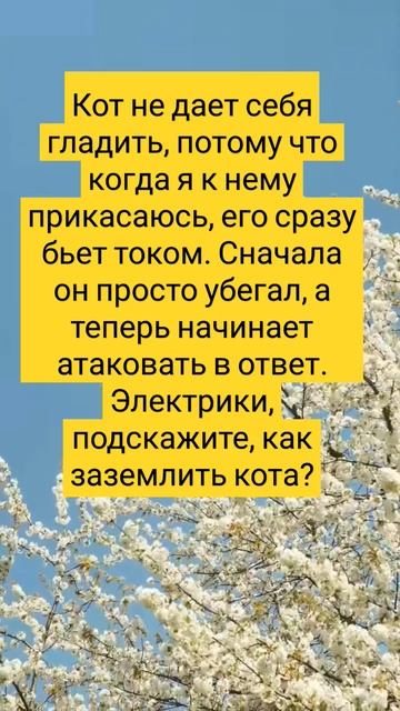 #подпишись #тренды #прикол #анекдоты #юмор #смешно #любовь #шутки #ночь