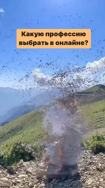 Какую профессию выбрать в онлайне? Все в описании.