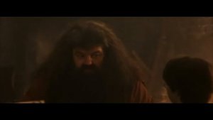 Гарри Поттер и ФК ЛЕГЕНДАРНЫЙ ПИРАТСКИЙ ПЕРЕВОД №4