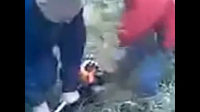 Мега ржачные дети.Дети матерятся.