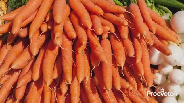 5 НЕЛЬЗЯ ПРИ ВЫРАЩИВАНИИ МОРКОВИ! Вот почему морковь растёт кривой мелкой и червивой