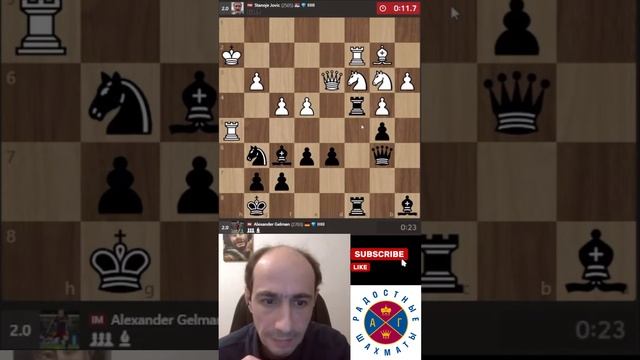 ШУРИК, ТЫ ВООБЩЕ ОСЛЕП! // ШУРА ГЕЛЬМАН #chess #шахматы #twitch #viralvideo