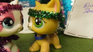 Lps  посылка от канала ЛПС ТИК