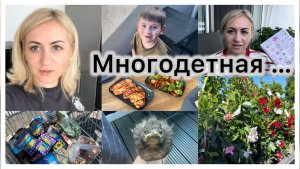 Вкусный и полезный ужин 🍽️ за кормом для птенца , Dehner 🛒 закупка в русском 🛒 Сын уехал ✔️ Влог