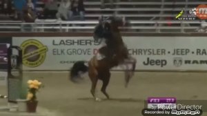 Падали но поднимались(Конный спорт)