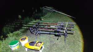 попал на хороший клёв карпов