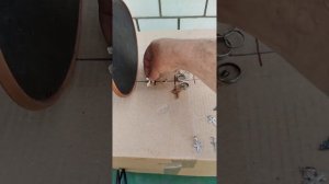 Whites Surfmaster PI. Тест на ювелірні вироби.