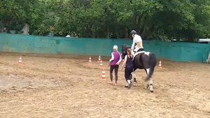 Денис Бартош на соревнованиях по конному спорту