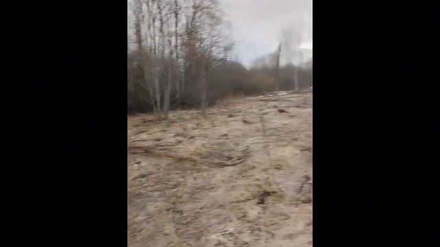 НА ЗАБРОШЕННОЙ ФЕРМЕ С МЕТАЛЛОИСКАТЕЛЕМ. Что можно НА? смотреть онлайн