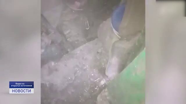 МЫ РУССКИЕ! С НАМИ БОГ!