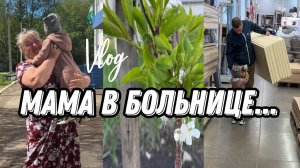 VLOG: Едем к МАМЕ/Как ее ЗДОРОВЬЕ/Что СЛУЧИЛОСЬ/покупки ДЛЯ ДОМА/Зацвел САД