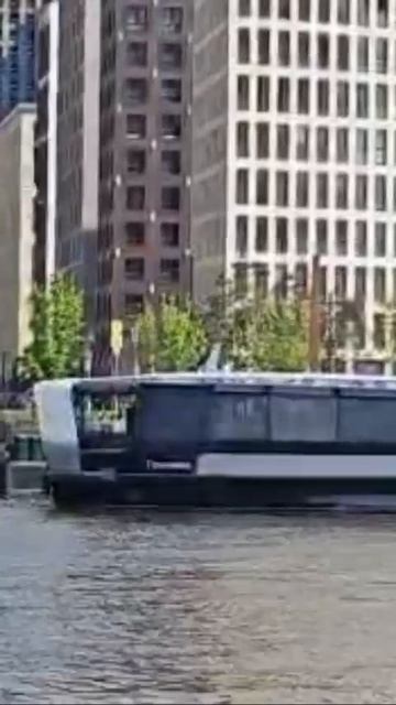 позитивчик🎼🌊 смотреть онлайн