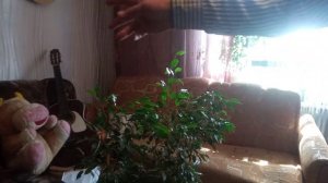 Всегда пригодится: Как быстро связать человека ремнем и веревкой.