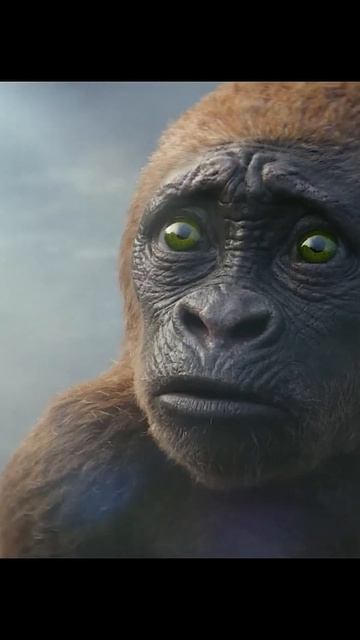 Годзилла и Конг: Новая Империя — Фрагмент из фильма | #shorts #short #кино #фильмы #новыефильмы смотреть онлайн