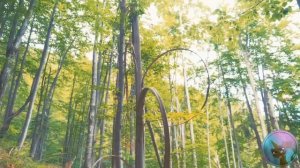 ЭТО не СЛИВКИ ШОУ | ВЫЖИВАНИЕ В ЛЕСУ ||RYTP\\_