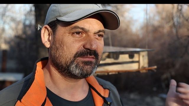 подкормка птиц летом надо или нет?