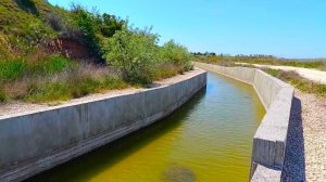 Есть ли рыба в мутной воде канала? Опустил камеру на дно.