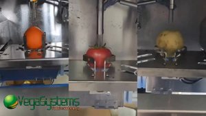 Машина Vega Apl Pel H1800 очистка овощей, фруктов от кожуры