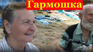 Гармошка игры Сочи блошинка Александр Москвин Киргизия Сочи