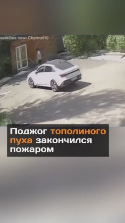 Поджог пуха привел к пожару