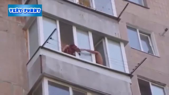 Спасение кота Кошка обиделась Обиженная кошка Приколы с животными смотреть онлайн