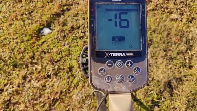 Обзор и настройка Minelab X Terra Elite! Отзыв и результат поиск смотреть онлайн