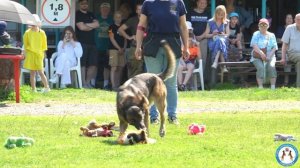 КСС ДОСААФ и Муниципальное образование поселок Лисий Нос