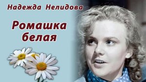 Надежда Нелидова. Ромашка белая